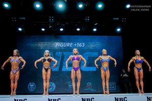 FIGURE +163